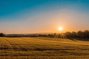 Rural countryside at sunset
