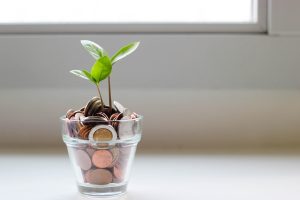 Green plant grows out of a glass full of coins
